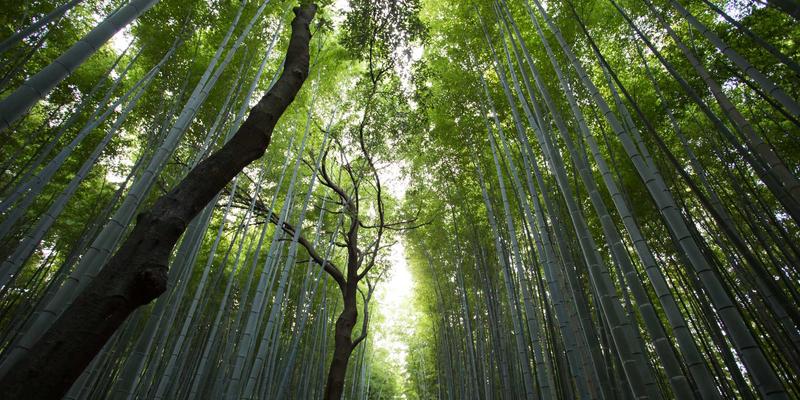 规避审计风控常见风险的实践建议